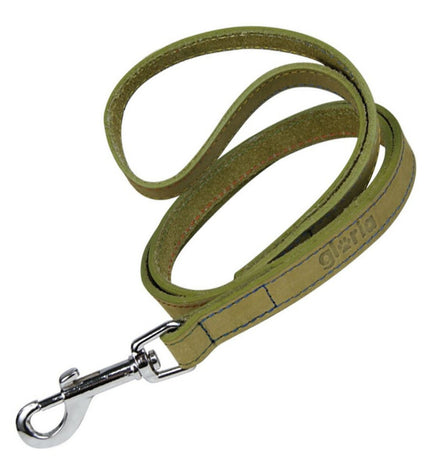Green Gloria Oasis dog leash, 3 x 60 cm, shown in a close-up image highlighting the durable nylon material and secure clasp.