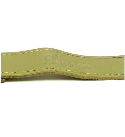 Green Gloria Oasis dog leash, 3 x 60 cm, showing the sturdy fabric and metal clip for secure attachment.