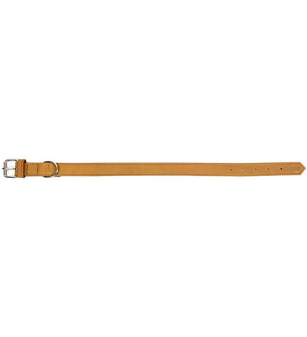 Yellow Gloria Oasis dog collar, 1.5 x 40 cm, made of durable material, featuring a stylish design for canine comfort and safety.