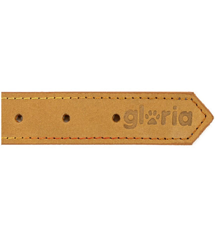 Gloria hondenhalsband Oasis Geel, 1.5 x 40 cm, geel hondenhalsband met verstelbaar ontwerp, geschikt voor honden.