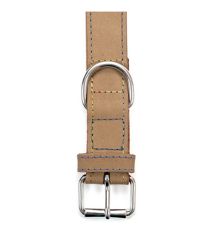 Gloria Oasis white dog collar with 65 cm length and 3 cm width, made of durable material, shown on a dog.