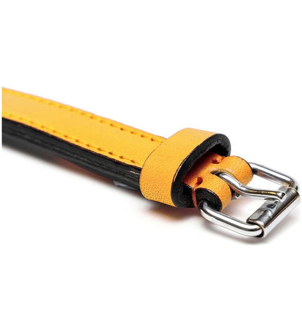 Yellow padded dog collar from Gloria, 30 cm length, 1.5 cm wide, with soft lining and adjustable buckle.