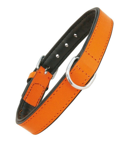 Orange padded dog collar from Gloria, 35 cm, with soft, comfortable material and adjustable buckle for a secure fit.