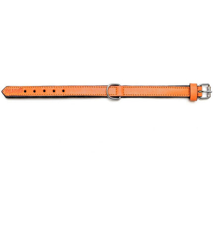 Orange padded dog collar by Gloria, 40 cm size, featuring soft, comfortable material and adjustable strap for dogs.