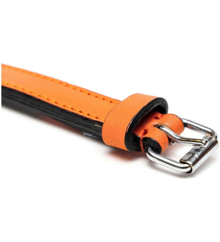 Orange padded dog collar by Gloria, 50 cm, with a soft, comfortable design for pets.