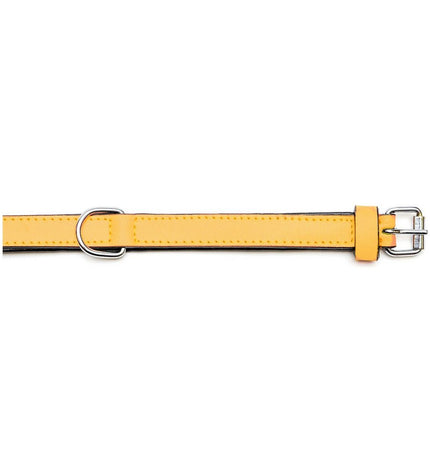 Yellow padded dog collar by Gloria, 50 cm length, shown on a dog with a close-up of the collar's soft, comfortable design.