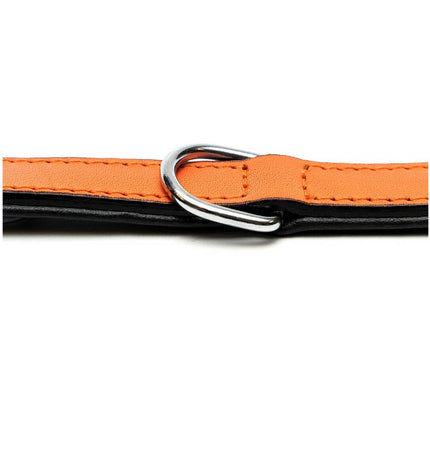 Orange padded dog collar Gloria Hondenhalsband Gloria, 55 cm, soft and comfortable for pets, with a secure buckle and adjustable fit.
