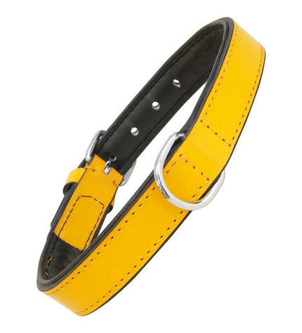 Yellow padded dog collar by Gloria, 55 cm, with adjustable strap and sturdy hardware, designed for comfortable pet wear.