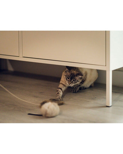 V10H116D63D9AB48F09DCFB032DED6C63E44R5597786P6