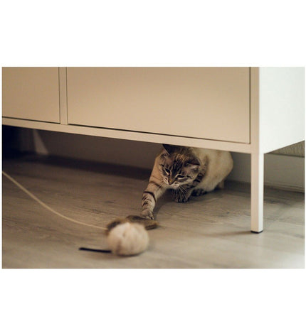 Gloria brand cat toy featuring a playful mouse design, ideal for entertaining and engaging cats.