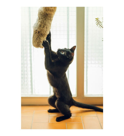 Gloria Gehry Kussen kattenspeeltje in beige with textured fabric, measuring 40 x 11 cm, designed for feline entertainment and comfort.