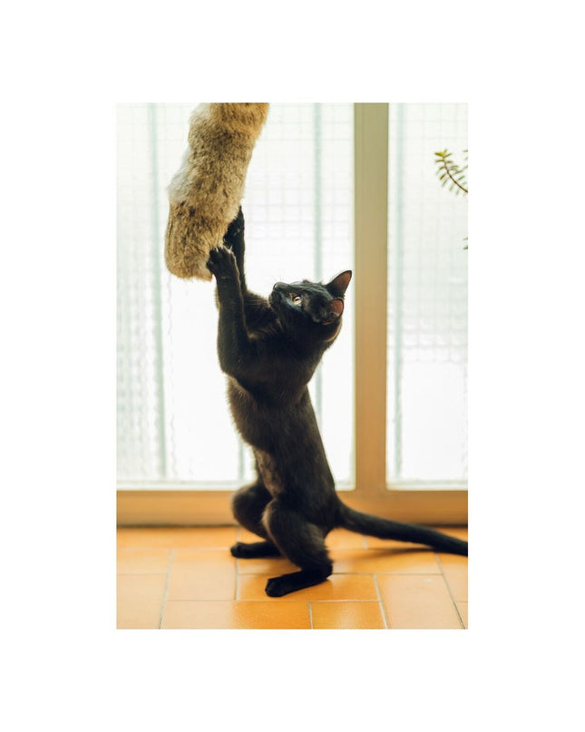 Gloria Gehry Kussen kattenspeeltje in beige with textured fabric, measuring 40 x 11 cm, designed for feline entertainment and comfort.