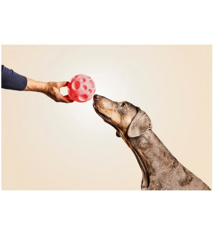 Gloria rubber dog treat dispenser toy with 12 cm size, designed for dogs to play and chew.