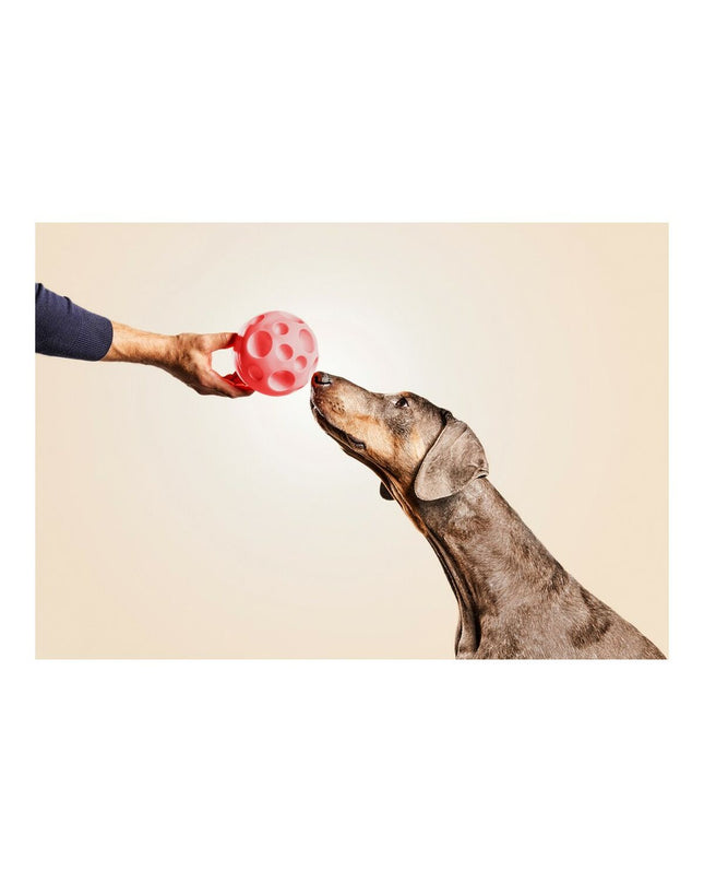 Gloria rubber dog treat dispenser toy with 12 cm size, designed for dogs to play and chew.