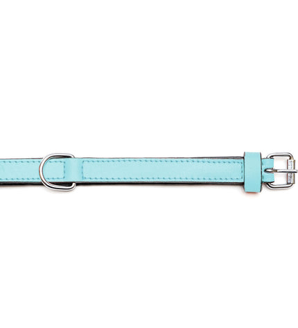 Blue leather padded dog collar by Gloria, 30 cm, featuring soft and comfortable material for dogs.