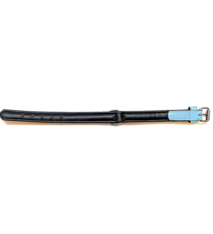 Blue padded leather dog collar Gloria, 30 cm, with soft cushioning, designed for comfort and style for your pet.