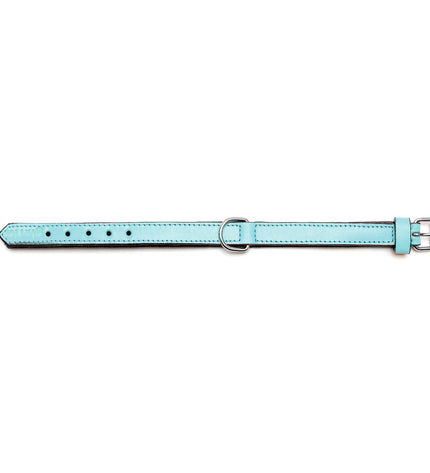 Blue Gloria padded leather dog collar, 30 cm, with soft cushioning, suitable for small to medium dogs.
