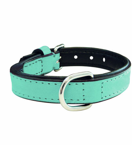 Blue padded leather dog collar Gloria, 30 cm, shown on a dog, made with soft, comfortable material for pets.