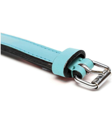 Blue padded dog collar by Gloria, 45 cm adjustable hondenhalsband with soft, comfortable material for pets.