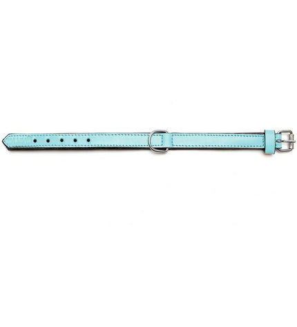 Blue padded dog collar by Gloria, 50 cm length, with soft cushioning and sturdy buckle, designed for comfortable pet wear.