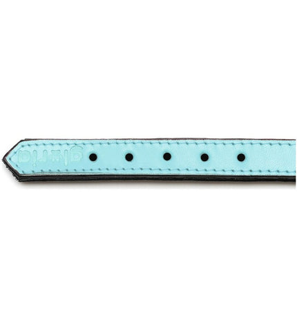 Blue padded dog collar by Gloria, 55 cm, showing the soft, comfortable material and adjustable strap for pets.