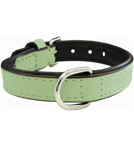 Gloria hondenhalsband Gloria Gestoffeerd Groen, 30 cm, soft padding, adjustable for dogs, durable collar with green fabric and padding