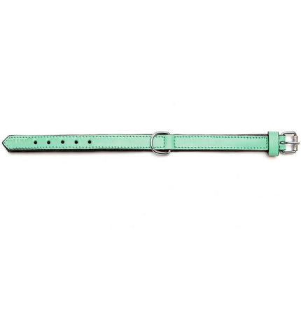 Green padded dog collar from Gloria, 30 cm size, showing a soft, comfortable design with buckle closure, for pet dogs.
