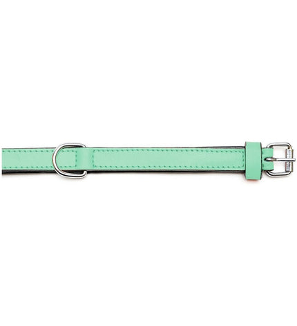 Gloria hondenhalsband Gloria Gestoffeerd Groen, 30 cm, padded green dog collar with adjustable strap and buckle.