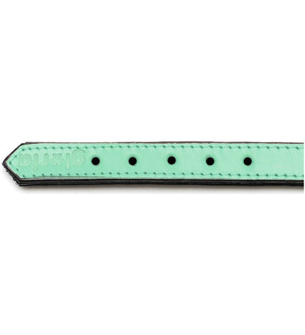 Green padded dog collar by Gloria, 35 cm, with soft cushioning and adjustable strap for comfortable pet wear.
