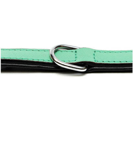Green padded dog collar from Gloria, 45 cm, with soft, comfortable material and adjustable buckle, ideal for everyday dog walks.