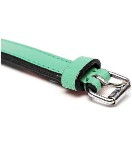 Green padded dog collar by Gloria, 50 cm, showing a close-up of the soft, durable material on a dog collar.