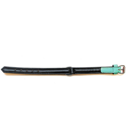 Gloria hondenhalsband in groen, gestoffeerd, 50 cm long, with 2.5 cm width, padded for comfort, suitable for dogs.