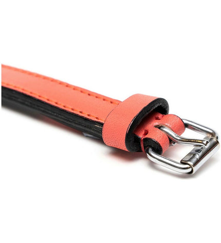 Gloria hondenhalsband Gloria Gestoffeerd Koraal, 35 cm, padded coral-colored dog collar with 1.5 cm width on a white background.