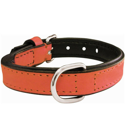 Gloria hondenhalsband Gloria Gestoffeerd Koraal in 55 cm with coral-colored padding and durable black strap, designed for dogs.