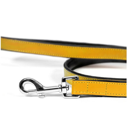 Yellow Gloria dog leash, 1.8 x 100 cm, durable nylon material, suitable for walking and training dogs.