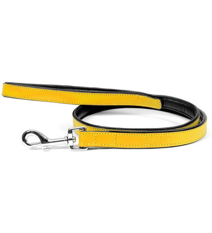 Yellow Gloria dog leash measuring 1.8 x 100 cm, made of durable material, suitable for walking and training dogs.