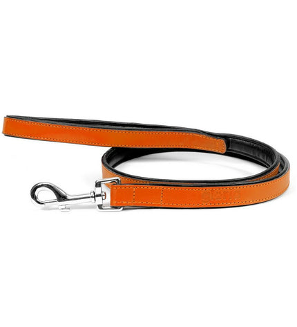 Orange Gloria dog leash, 1.8 x 100 cm, durable nylon material, suitable for walking and training dogs.