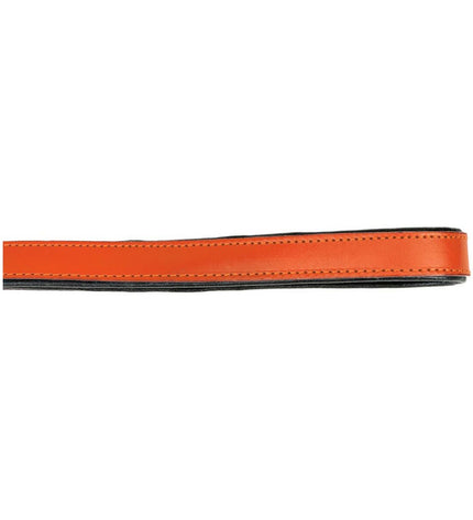 Orange Gloria dog leash, 1.8 x 100 cm, durable nylon material with metal clip for secure walking and control.