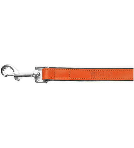 Orange Gloria dog leash, 1.8 x 100 cm, made of durable material, suitable for walking and training dogs.