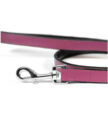 Pink Gloria dog leash measuring 1.8 x 100 cm, shown with a close-up of the fabric and clasp detail.