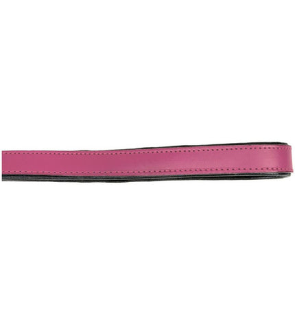 Pink Gloria dog leash measuring 1.8 x 100 cm, durable nylon with metal clip, suitable for walking your pet.