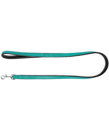 Turquoise Gloria dog leash 1.8 x 100 cm with sturdy design, suitable for walking and training dogs.