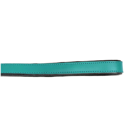 Gloria turquoise dog leash, 1.8 x 100 cm, durable nylon material, designed for walking and controlling dogs.