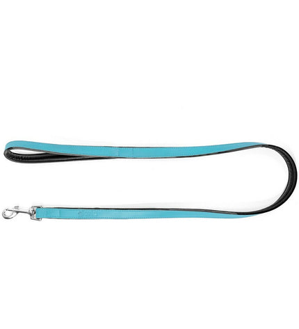Blue Gloria dog leash, 1.8 x 100 cm, durable nylon dog lead for walking and training pets.