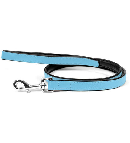 Blue Gloria dog leash, 1.8 x 100 cm, durable nylon material with metal clasp for secure pet walking.