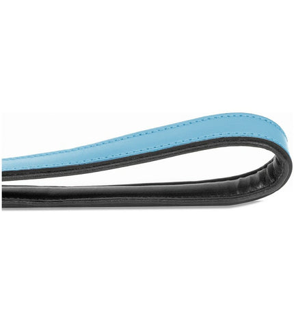 Blue Gloria dog leash, 1.8 x 100 cm, durable and comfortable for walking your pet.