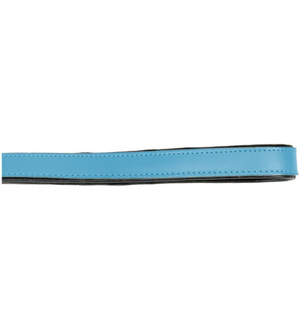 Blue Gloria dog leash, 1.8 x 100 cm, durable nylon material, shown laid out flat with metal clasp and handle.