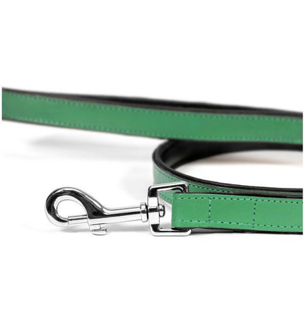 Green Gloria dog leash measuring 1.8 x 100 cm, with sturdy design and comfortable grip for walking dogs.