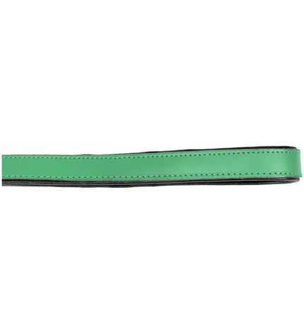 Green Gloria dog leash 1.8 x 100 cm, durable nylon material, with metal clip for secure attachment.