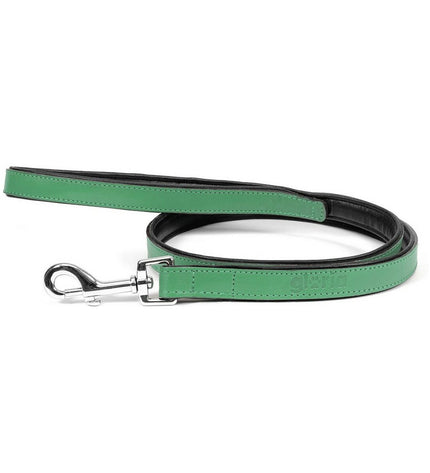 Green Gloria dog leash measuring 1.8 x 100 cm, made of durable material, suitable for walking dogs outdoors.